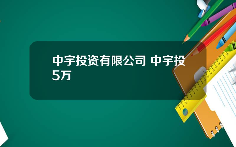 中宇投资有限公司 中宇投5万